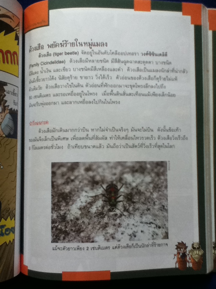 เอาชีวิตรอดในอาณาจักรแมลง เล่ม 2