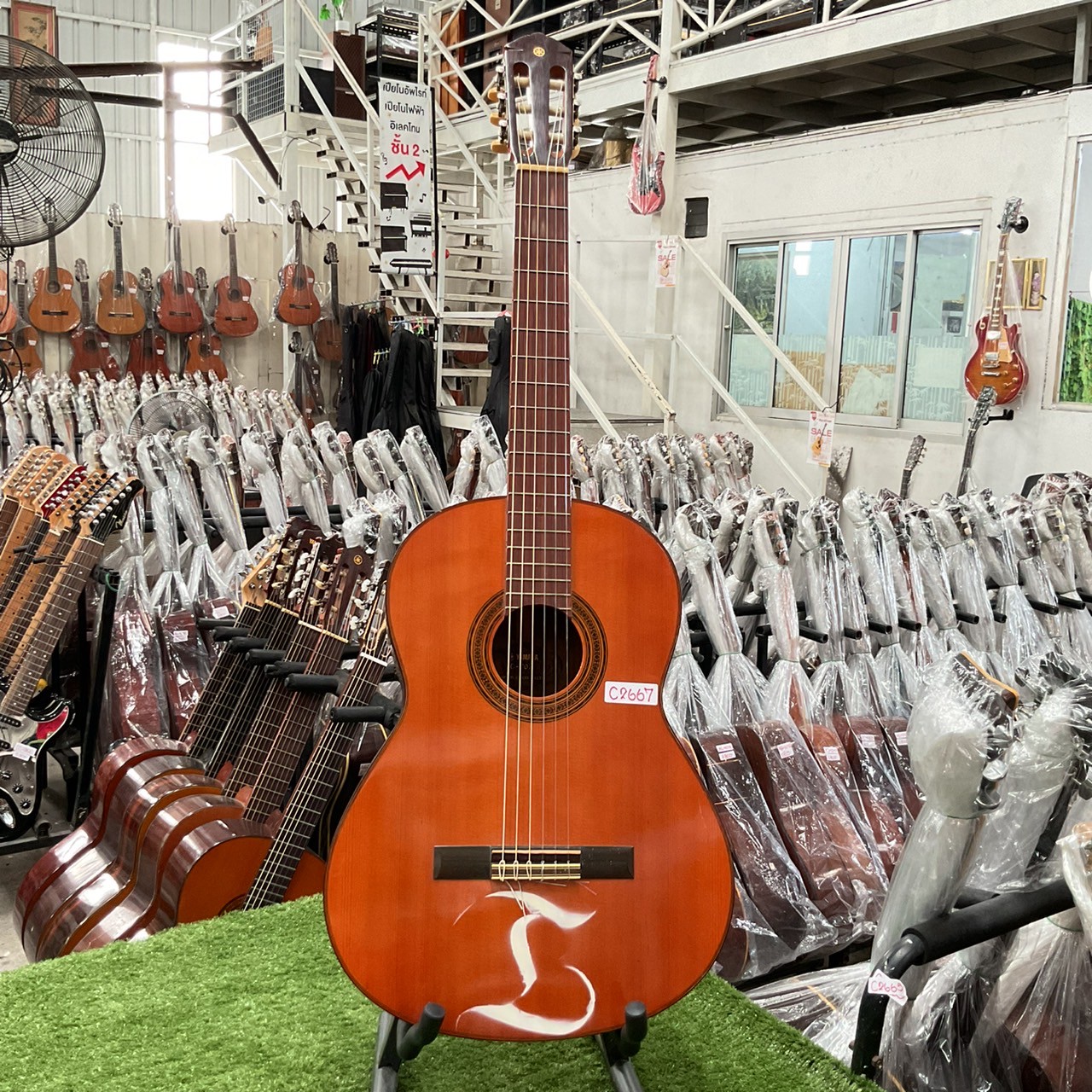 กีต้าร์คลาสสิค YAMAHA : G-70D