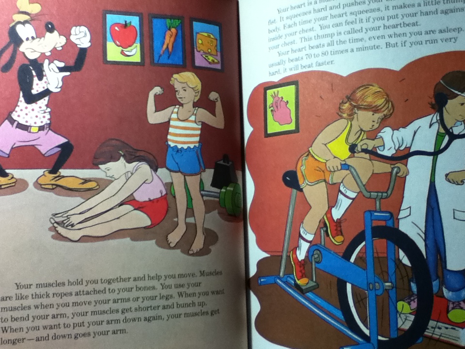 WALT DISNEY FUN-TO-LEARN LIBRARY Volume 3-19 (17 เล่ม)