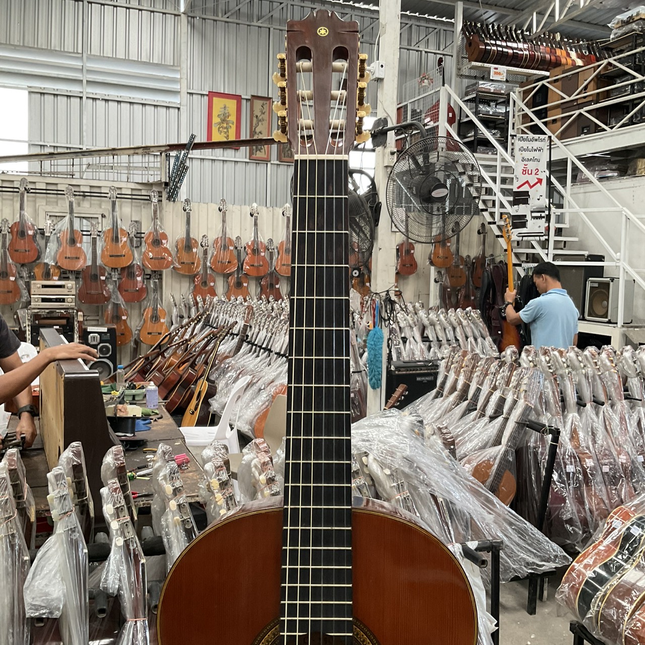 กีต้าร์คลาสสิค YAMAHA : C-250