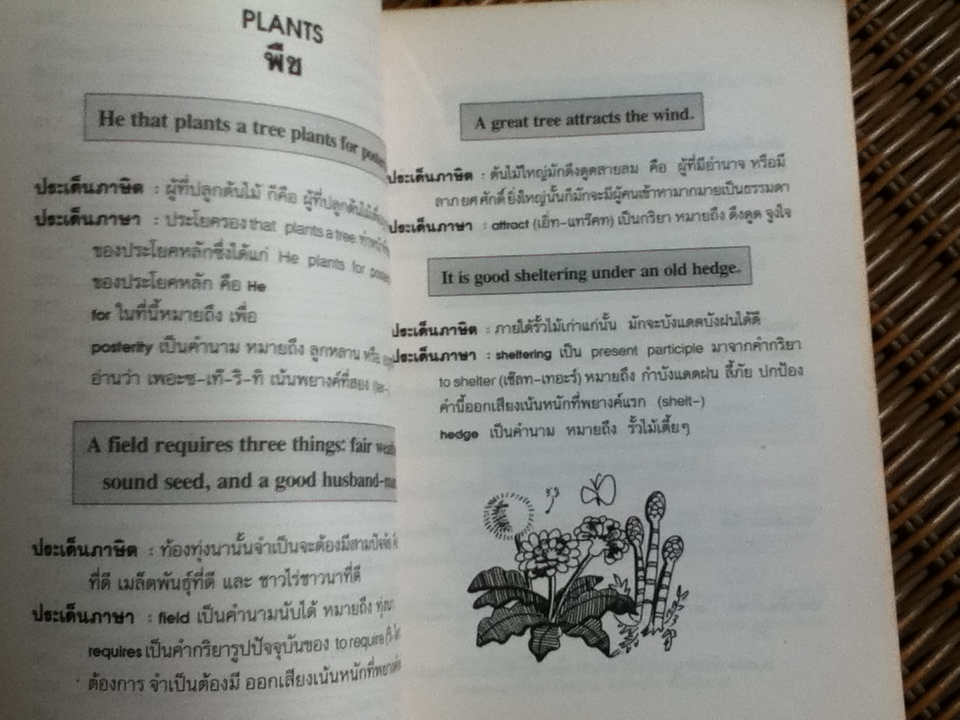 เรียนภาษาจากภาษิตฝรั่ง เล่ม2 ชุดพืชพันธุ์ ธรรมชาติ สัตว์/ อ.มาลี อมตานนท์