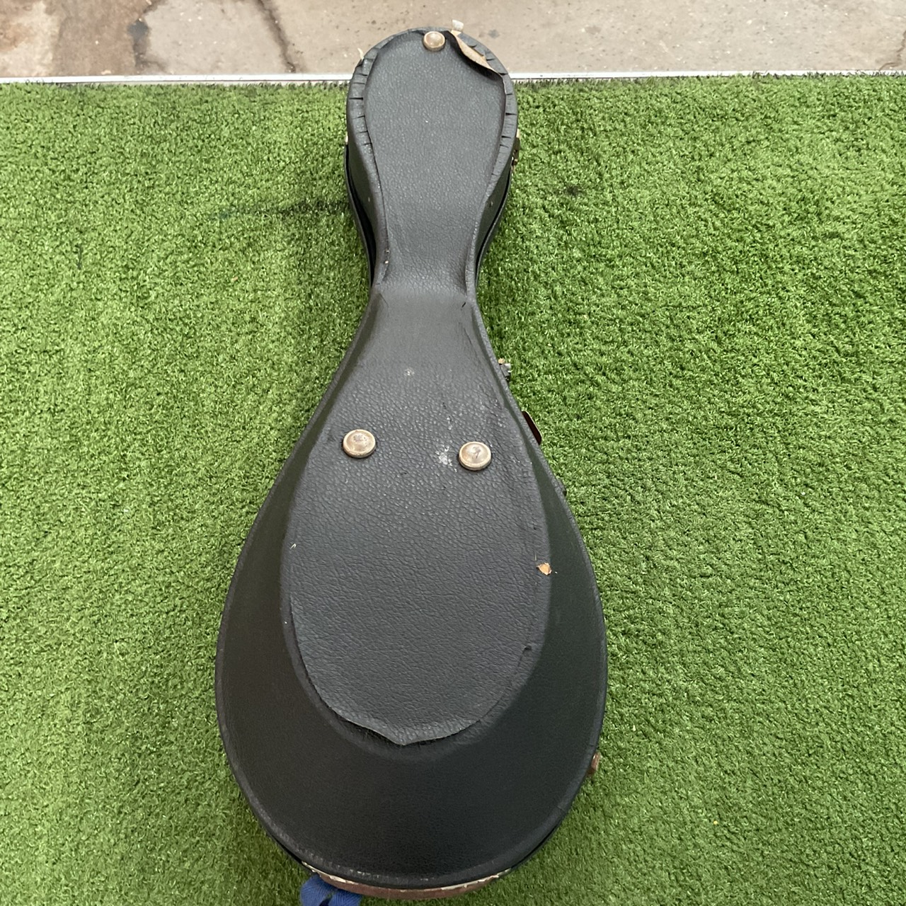 แมนโดลิน SUZUKI : No.228