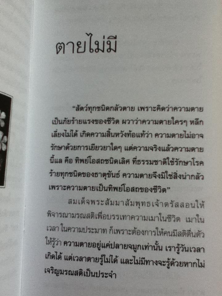 ตายไม่มี/ปิยโสภณ และ ฮิปโปหัวหมอ สาระความรู้ทางกฎหมายในรูปการ์ตูน
