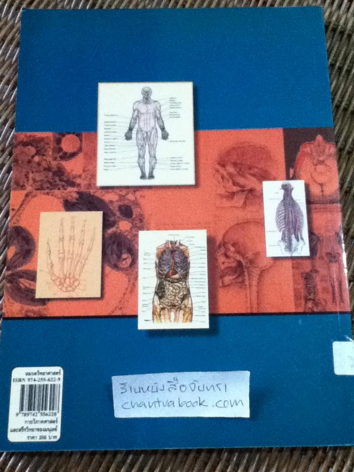 กายวิภาคศาสตร์และสรีรวิทยาของมนุษย์/ ผศ.รำแพน พรเทพเกษมสันต์