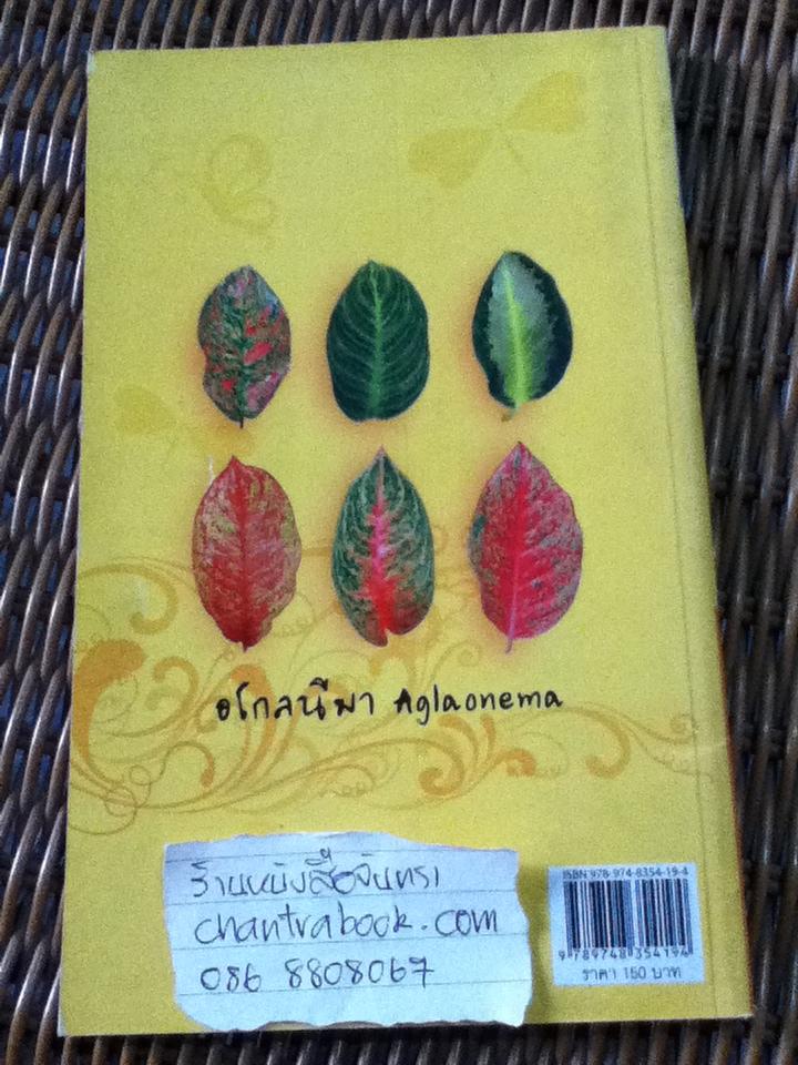 อโกลนีมา/ อ.เศรษฐมันตร์ กาญจนกุล