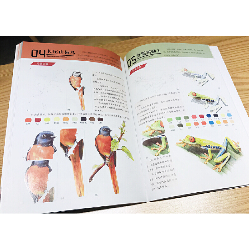 (Pre-order) หนังสือระบายสีไม้ภาพวาดทั่วไปตั้งแต่ระดับเริ่มต้นจนถึงเชี่ยวชาญ