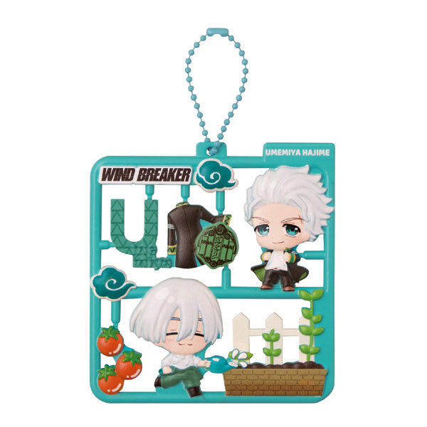 Plat Collection WIND BREAKER 4Pack BOX(Pre-order)