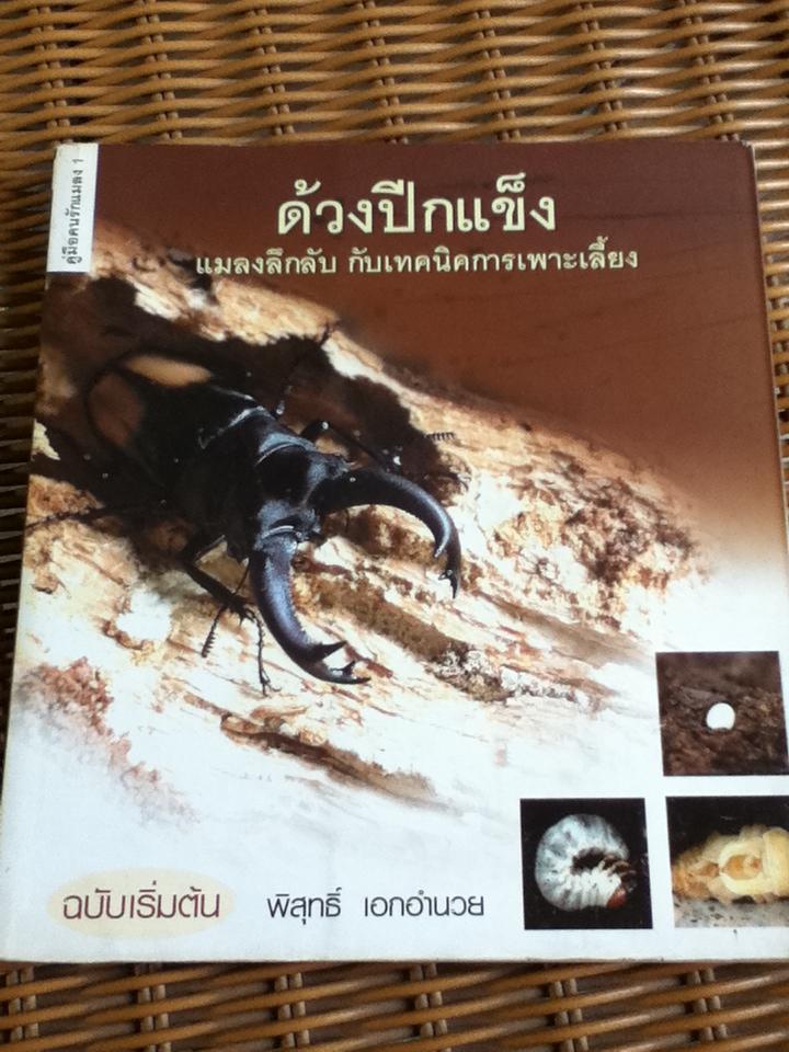 ด้วงปีกแข็ง แมลงลึกลับกับเทคนิคการเพาะเลี้ยง/ พิสุทธิ์ เอกอำนวย