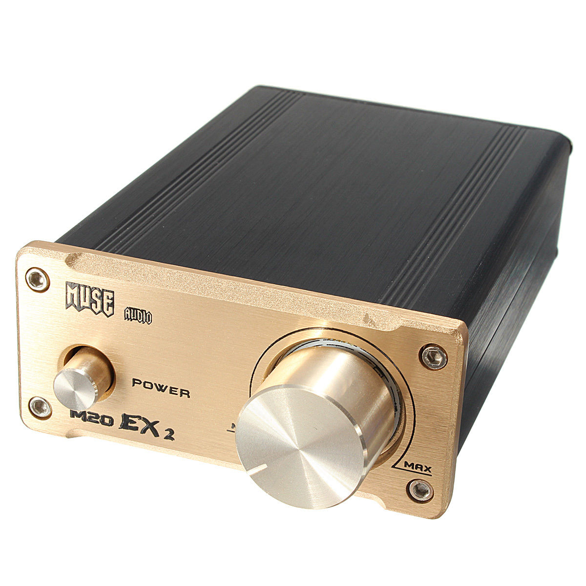 MUSE M20 EX2 Power Digital Amplifier T-Amp 2*20W TA2020 Amplifer (Gold)