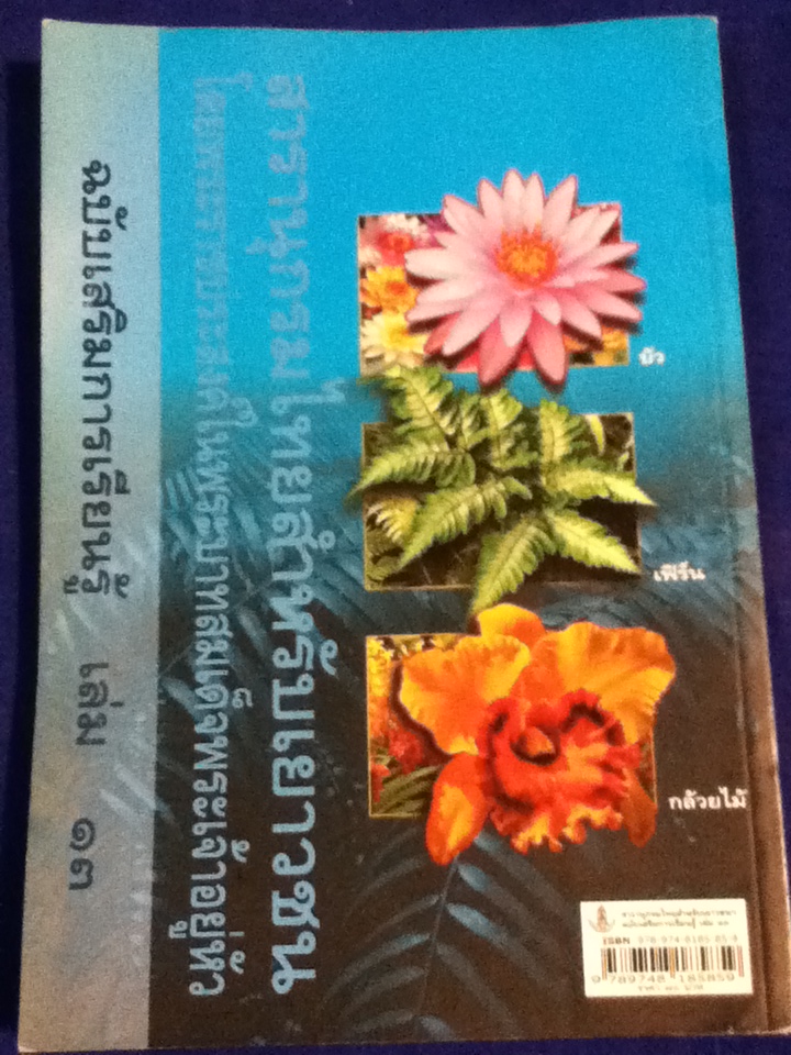 สารานุกรมไทยสำหรับเยาวชน ฉบับเสริมการเรียนรู้ เล่ม 13, 2552