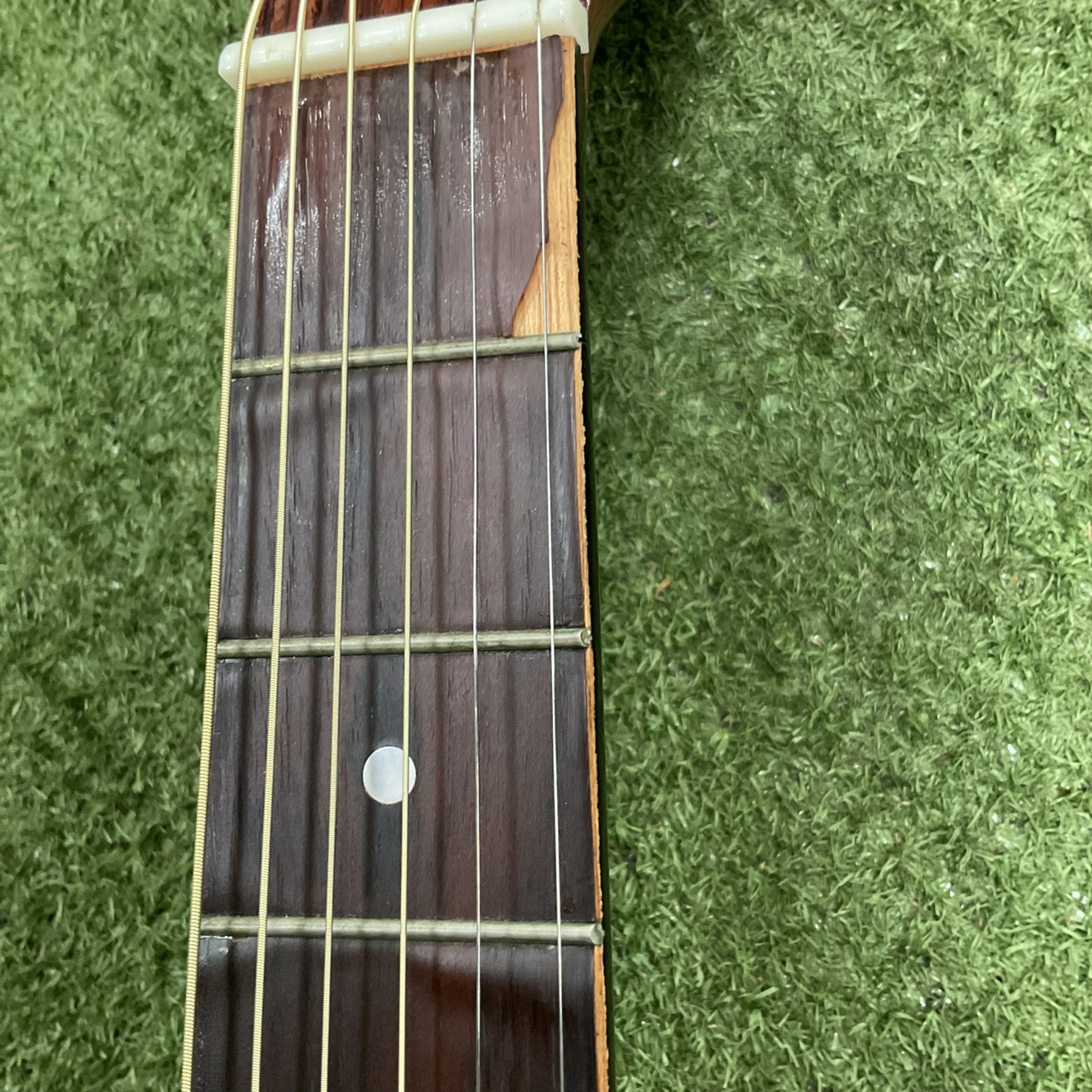 กีต้าร์โปร่ง Great Lake : F-101