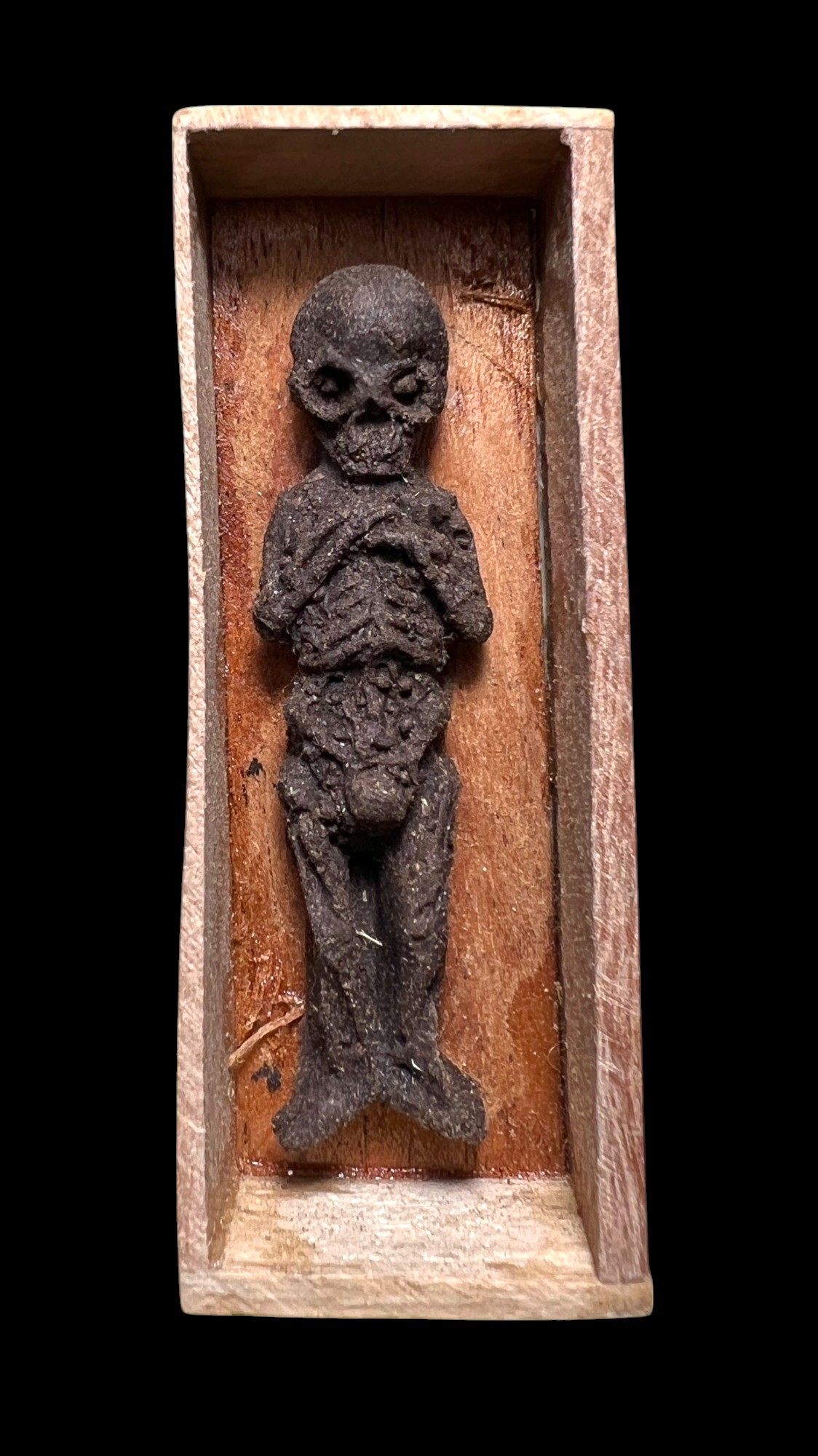 ลูกกรอกหัวเดียวนอนโลง One-Headed Lukkrok In Coffin. SKU-03781