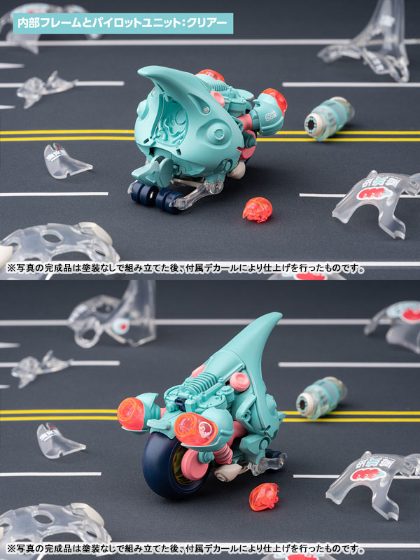 LUNCH BOX Dynastes Clear Plastic Model(Pre-order)