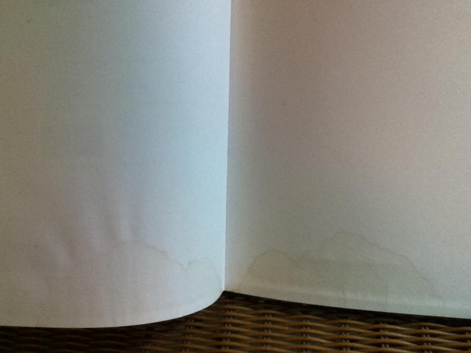 VERSAILLES COMPLET GUIDE/ Simone Hoog, Daniel Meyer