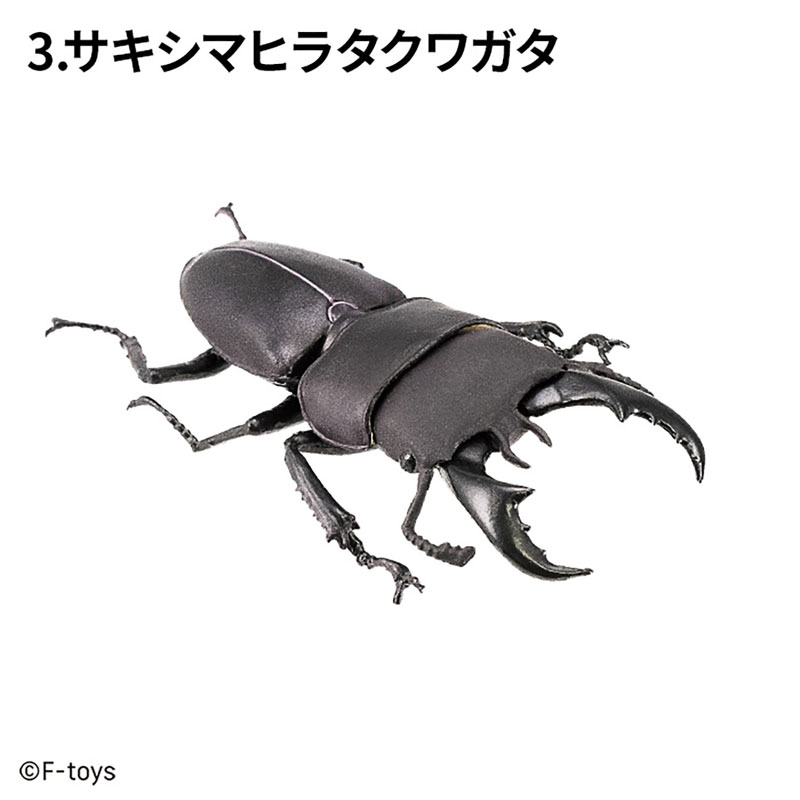 Insect Hunter Beetle x Stag Beetle 10Pack BOX (CANDY TOY)(Pre-order)
