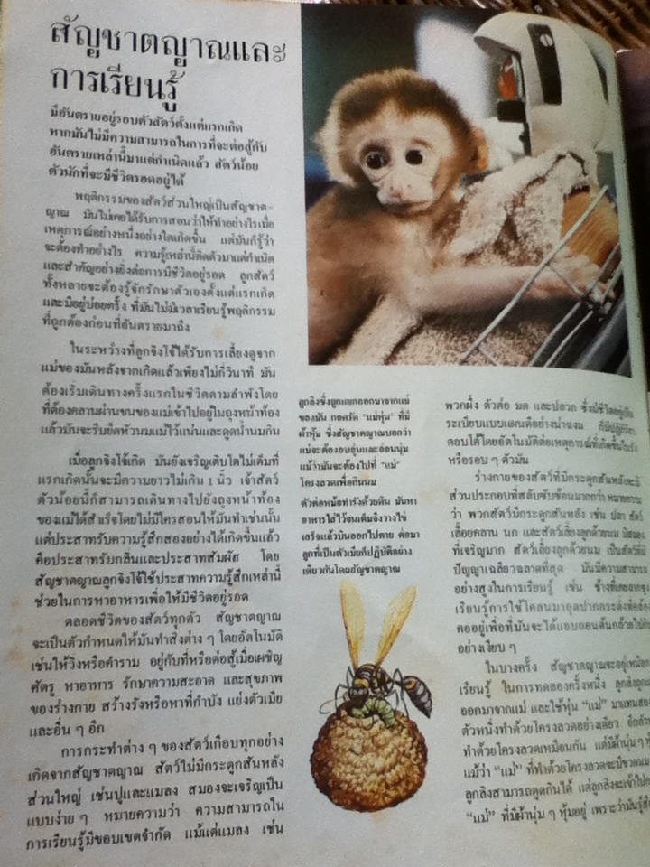 โลกของสัตว์/ Theodore Rowland