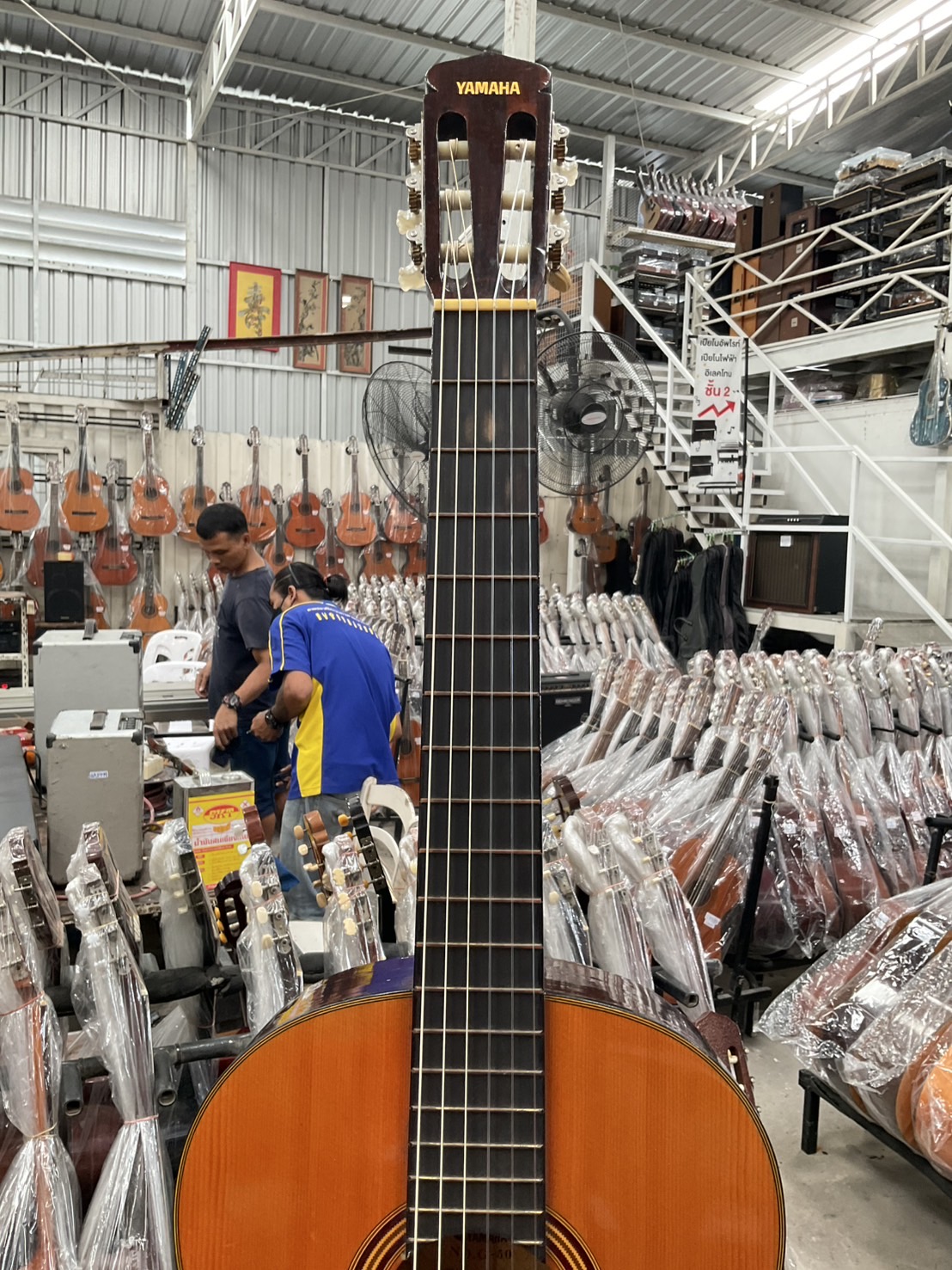 กีต้าร์คลาสสิค YAMAHA : G-50