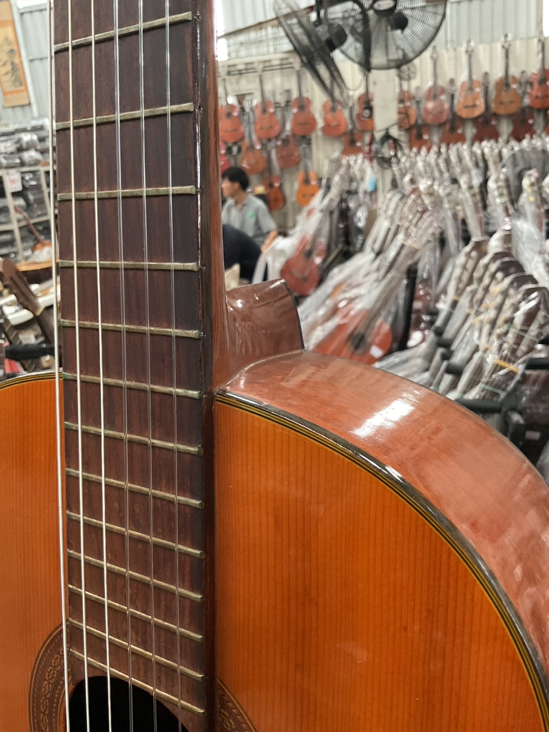 กีต้าร์คลาสสิค TOKAI : L-80