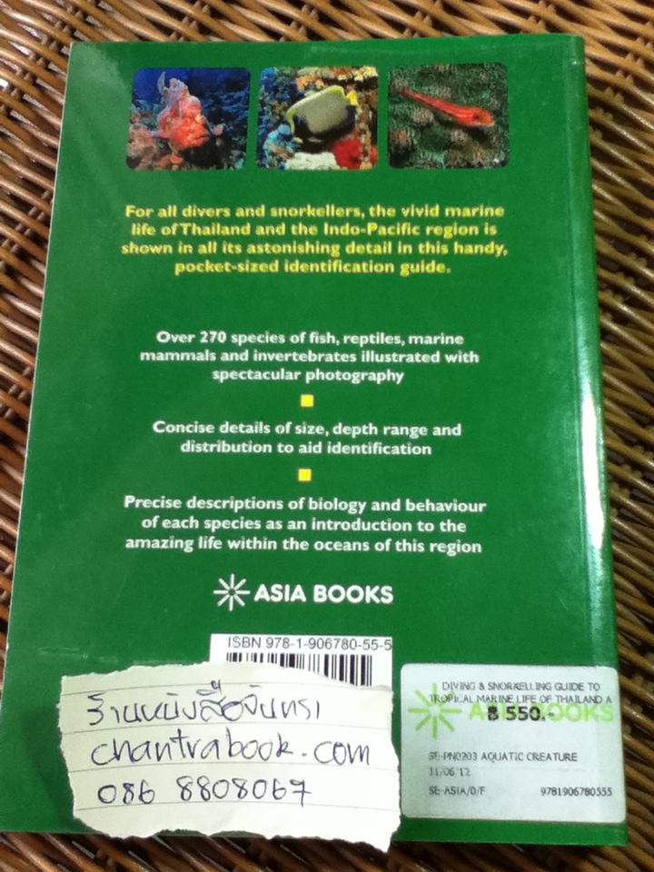 Diving & Snorkelling Guide to TROPICAL MARINE LIFE OF THAILAND/ Matthias Bergbauer