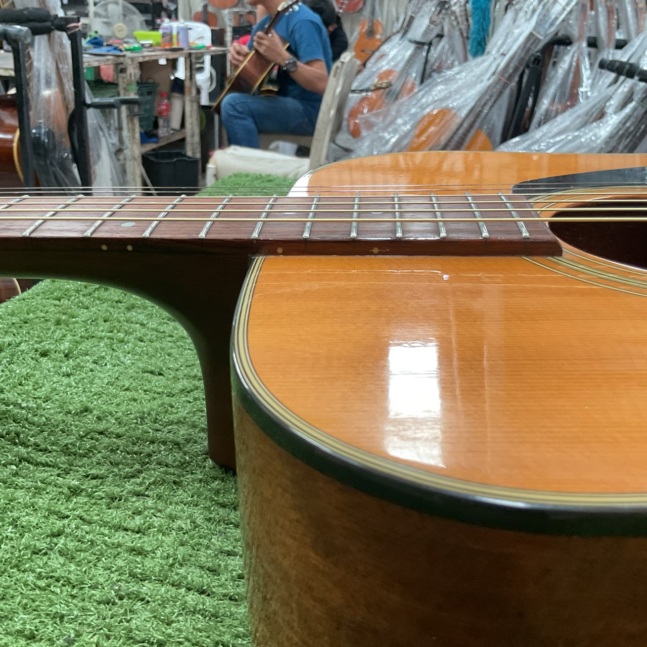 กีต้าร์โปร่ง Morris : MD-503