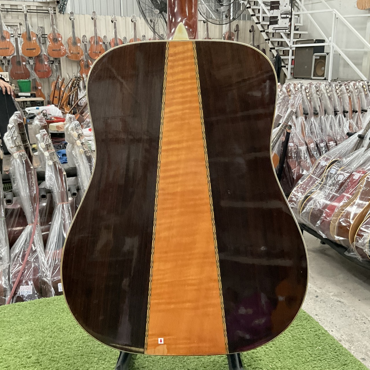 กีต้าร์โปร่ง Morris : W-50 (สำหรับมือซ้าย)