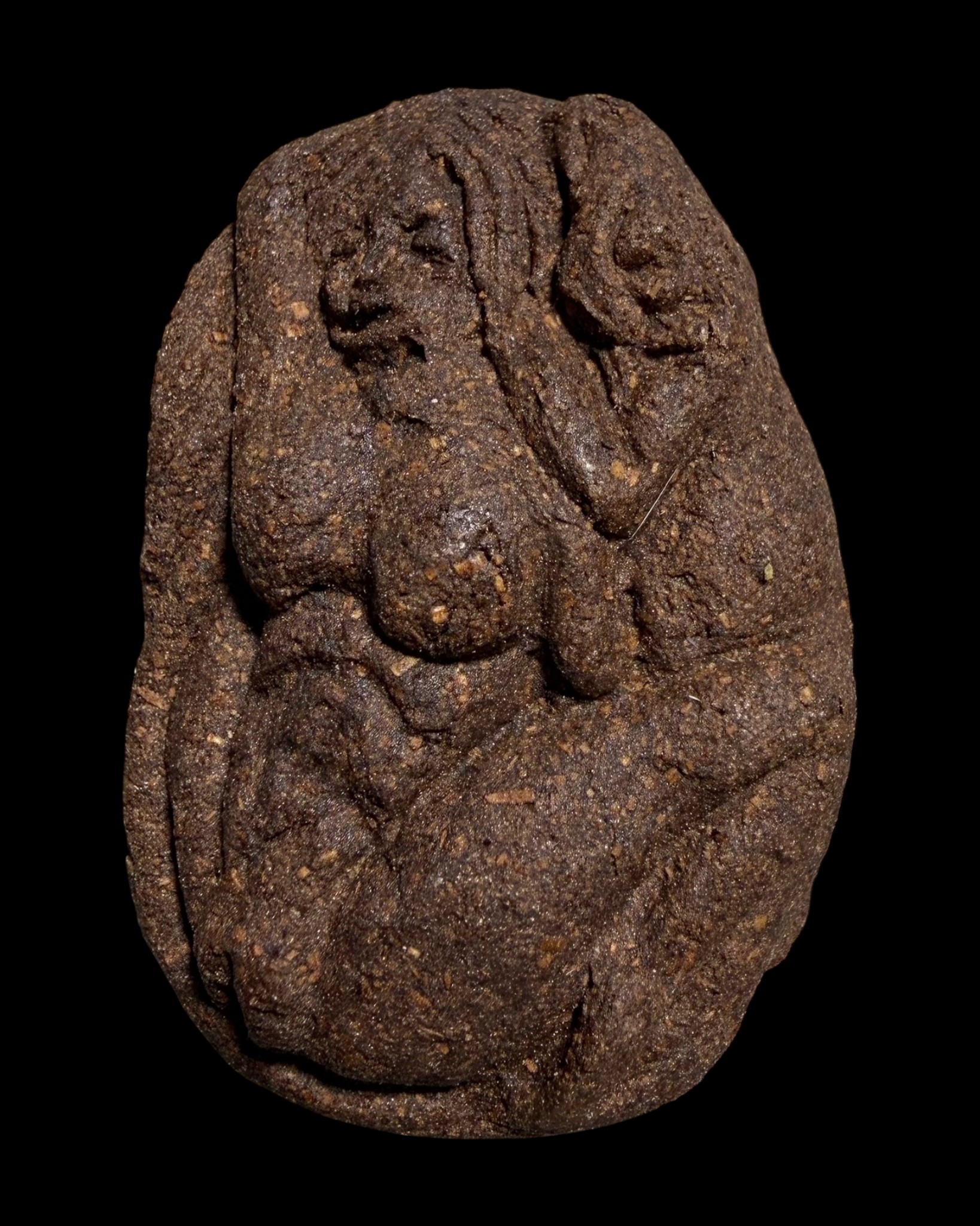 นางจิ้งจกเสน่ห์ Lady Gecko. SKU-03541