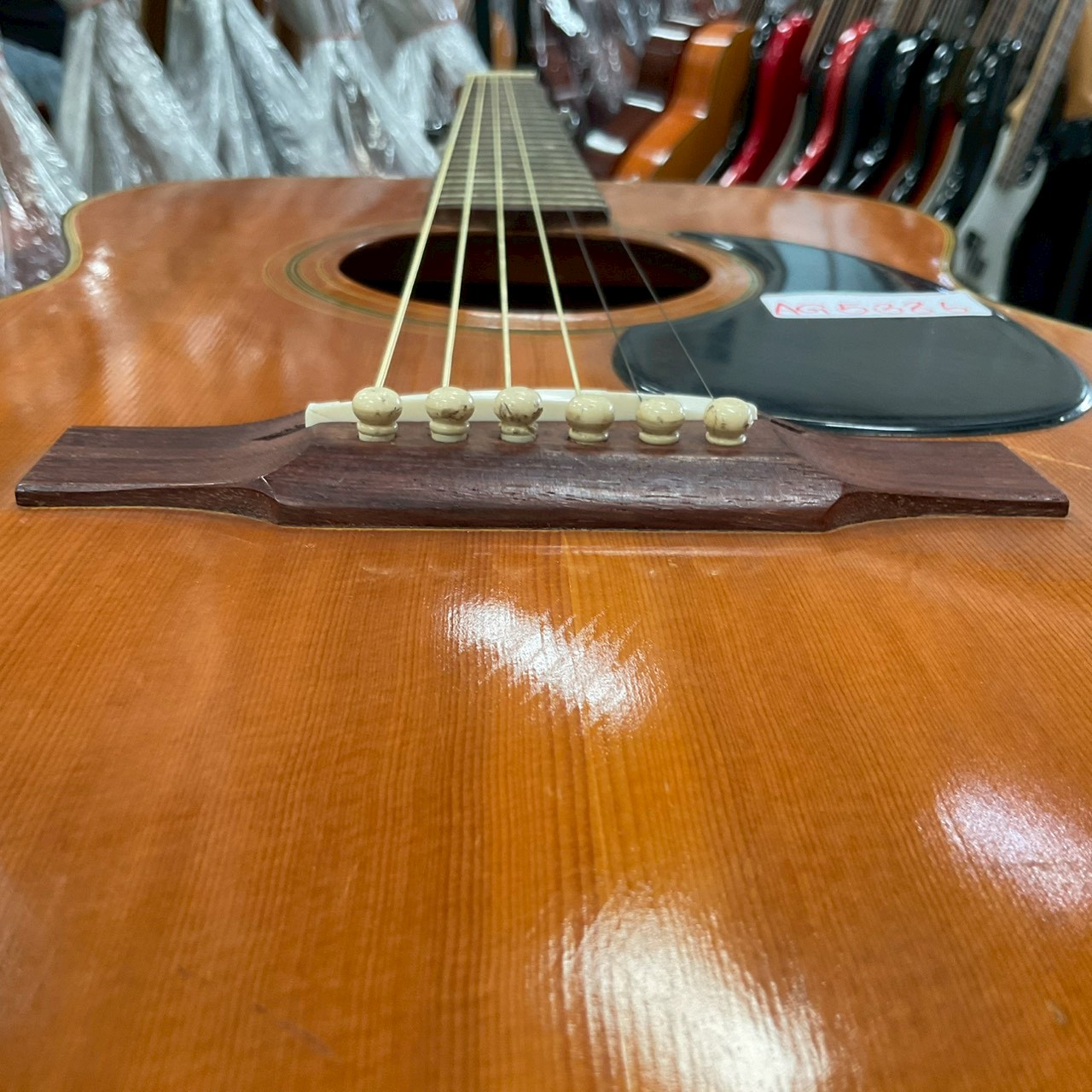 กีต้าร์โปร่ง Hamox : F-85