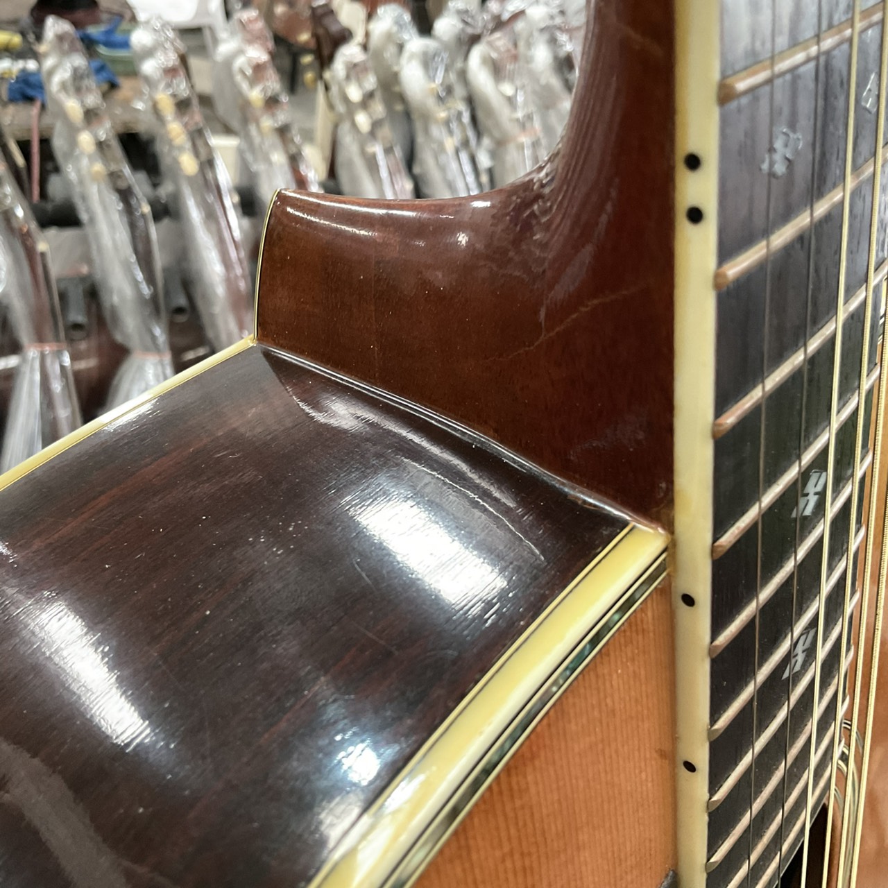 กีต้าร์โปร่ง Morris : W-50 (สำหรับมือซ้าย)