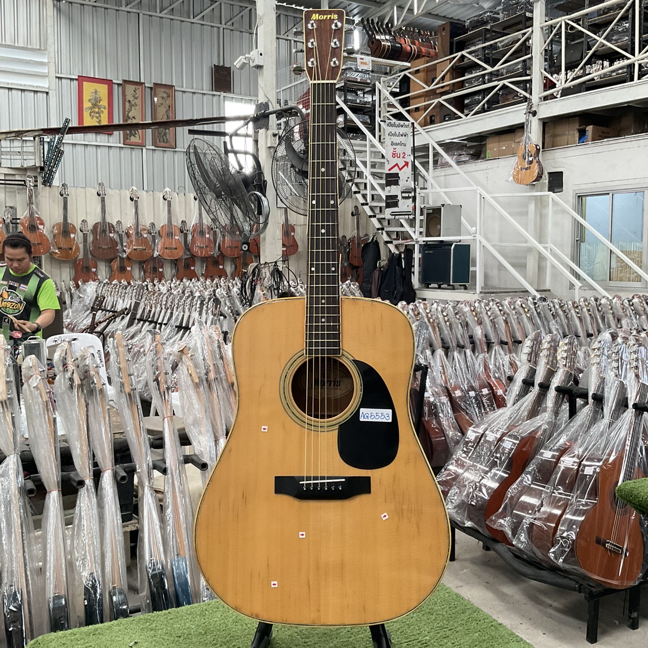 กีต้าร์โปร่ง Morris : W-23