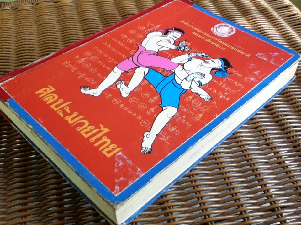 ศิลปะมวยไทย