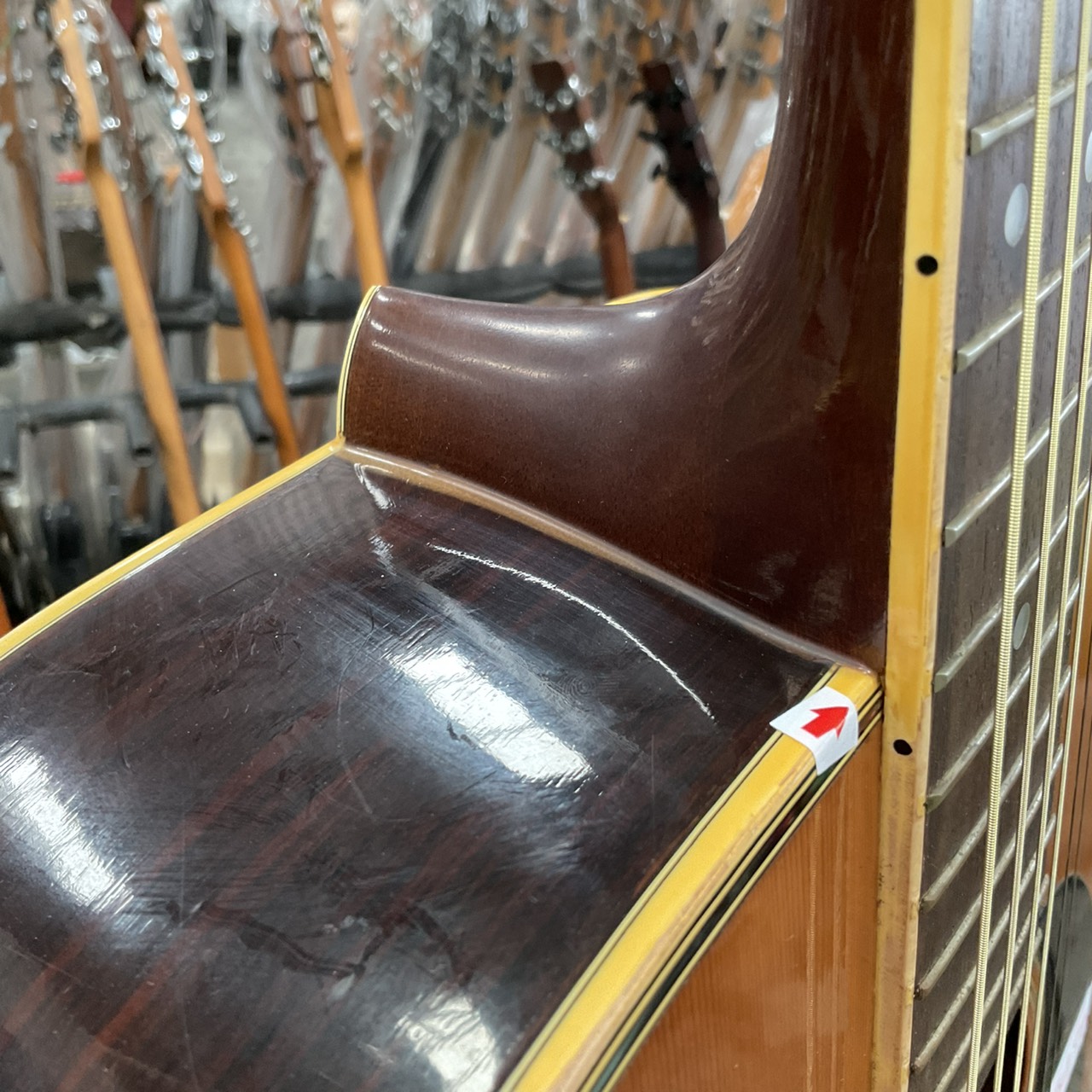 กีต้าร์โปร่ง Morris : W-30