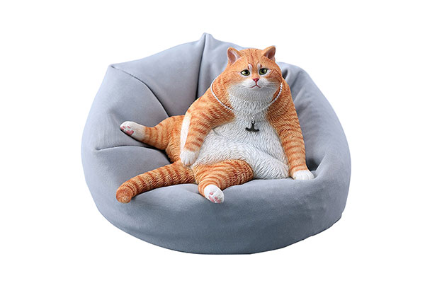 1/6 Tanking Cat C(Provisional Pre-order)