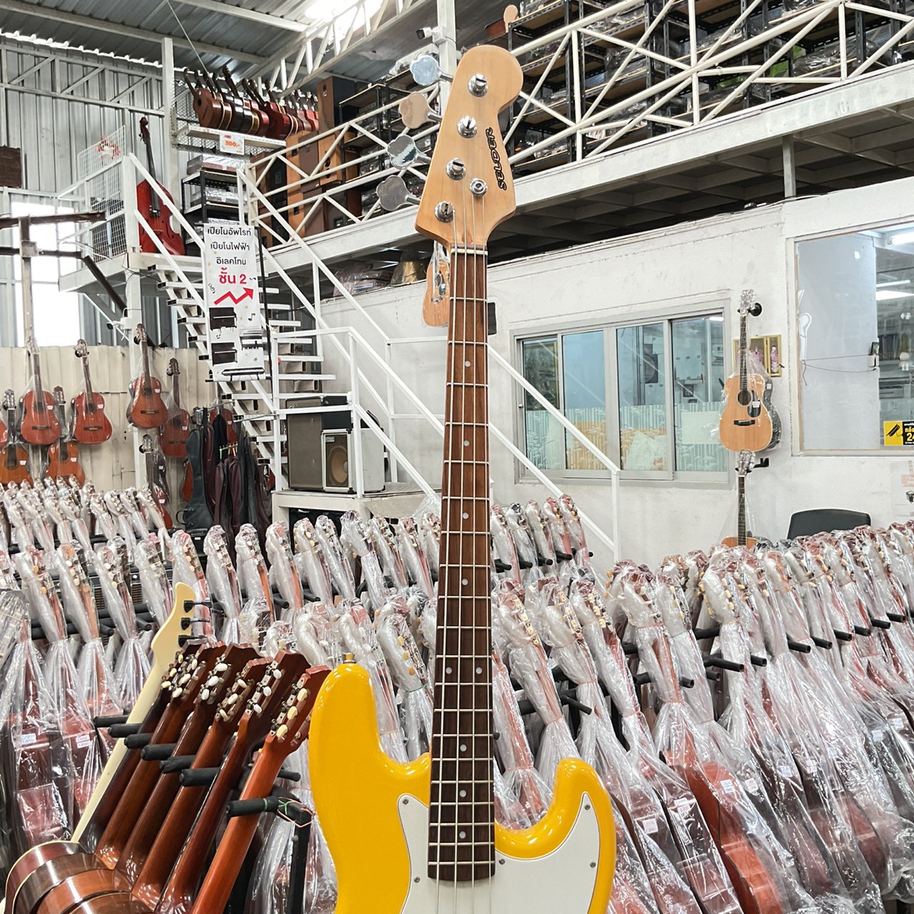 กีต้าร์เบส SELDER