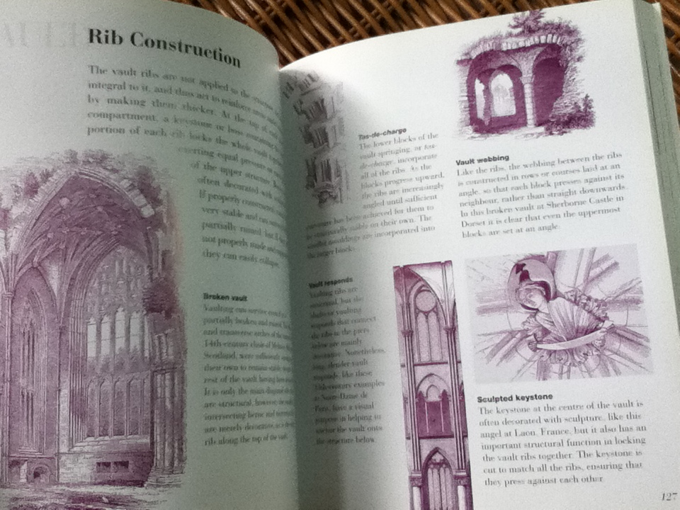 HOW TO READ BUILDINGS: A crash course in architecture/ Carol Davidson Cragoe