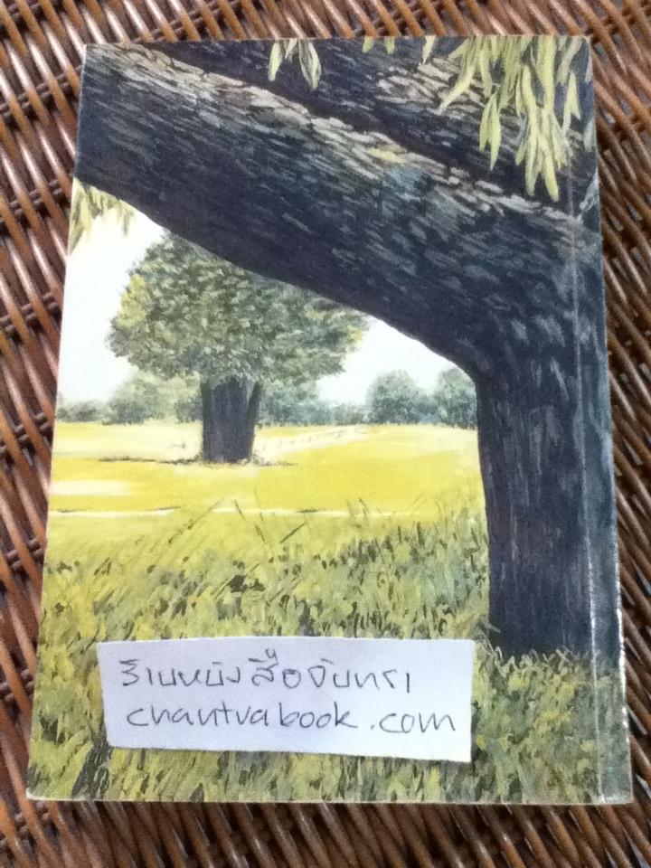 ต้นส้มแสนรัก ภาค 2/ โจเซ่ วาสคอนเซลอส