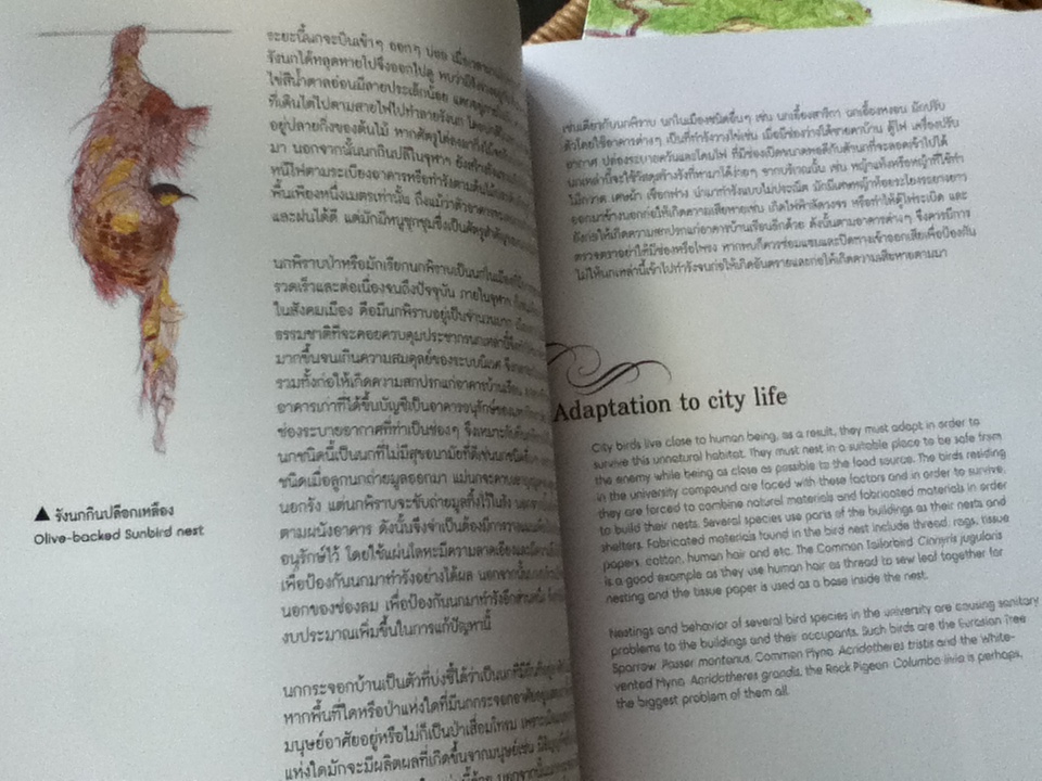 พรรณไม้ และ ปักษาพรรณ ในอุทยานจามจุรี 2เล่ม/ชุด พร้อมกล่องบรรจุ