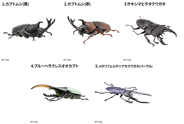 Insect Hunter Beetle x Stag Beetle 10Pack BOX (CANDY TOY)(Pre-order)