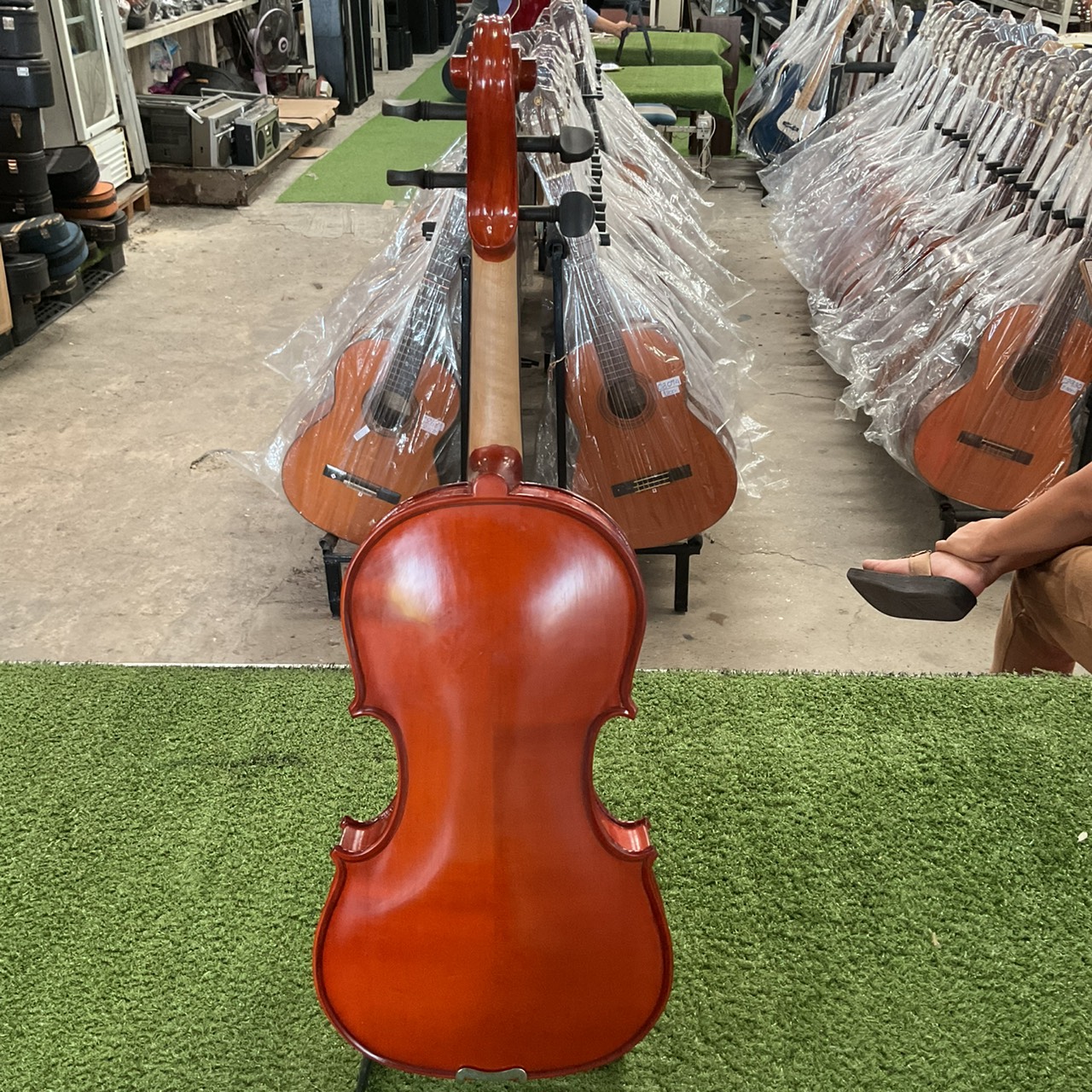 ไวโอลิน Hallstatt : V-10