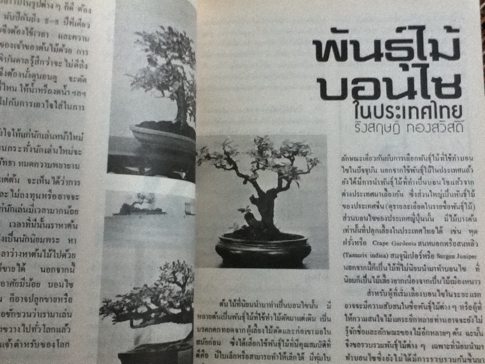 บอนไซ เล่มที่ 1/ ชมรมบอนไซ(ไม้แคระ)แห่งประเทศไทย