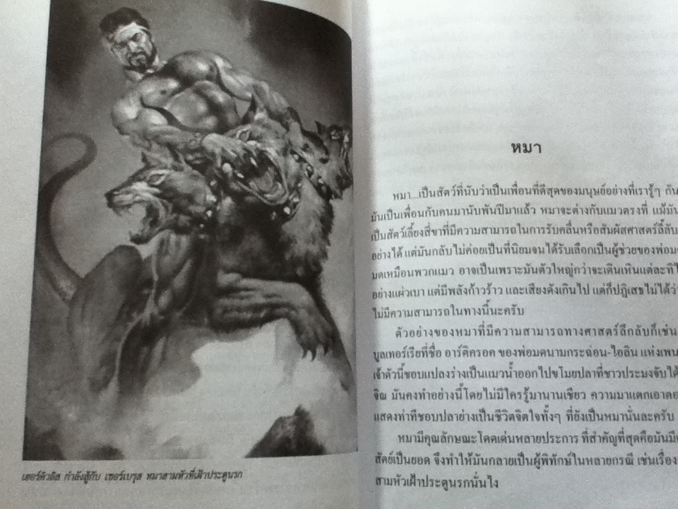 สัตว์พิสดารจากเทพนิยาย/ คอสมอส