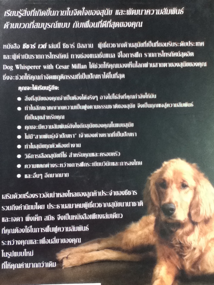 ซีซาร์ เวย์