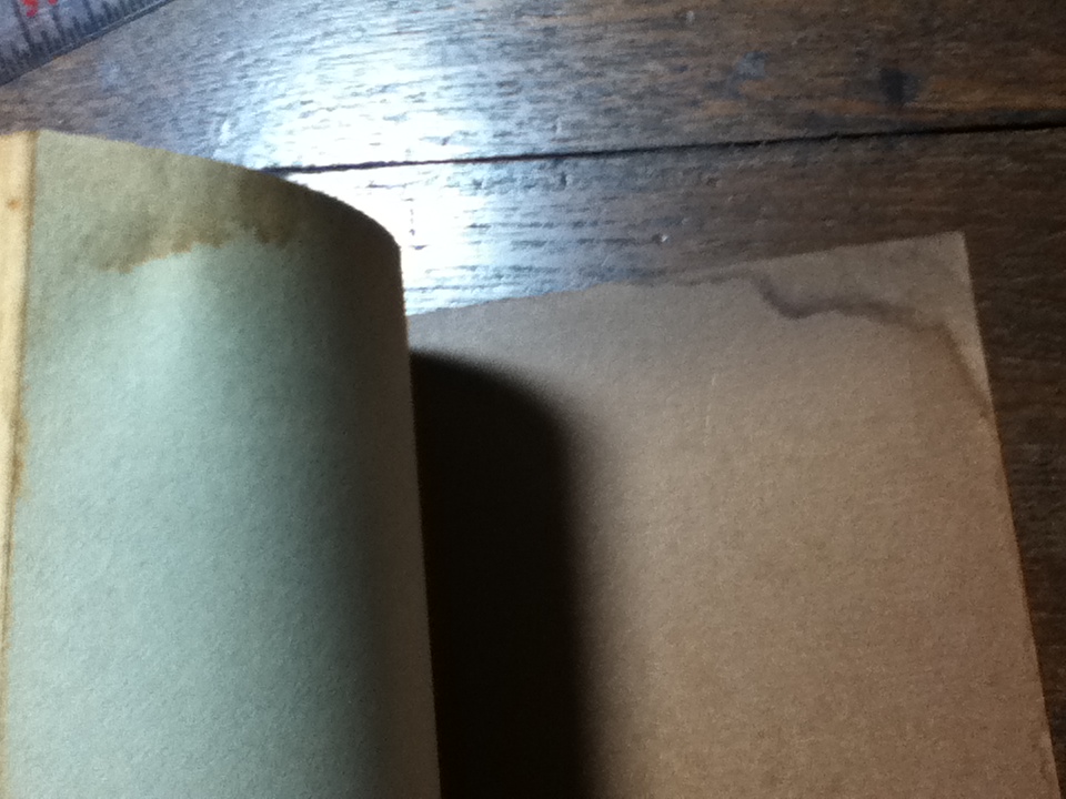 ดอกไม้สำหรับอัลเจอนอน รวมนิยายวิทยาศาสตร์ที่สรรแล้ว