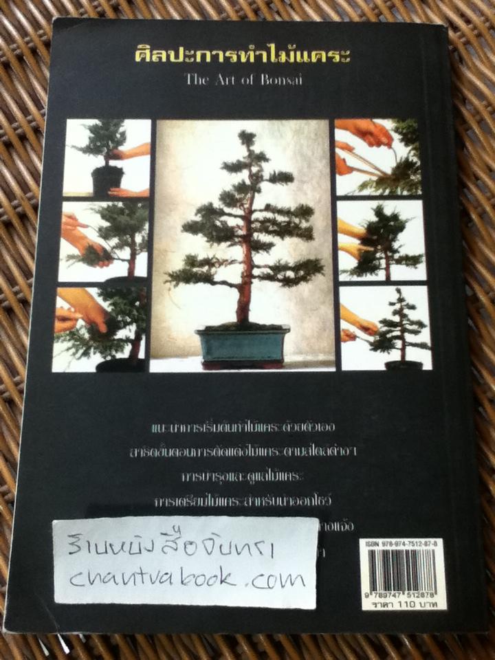 ศิลปะการทำไม้แคระ/ พัฒน์ พิชาน