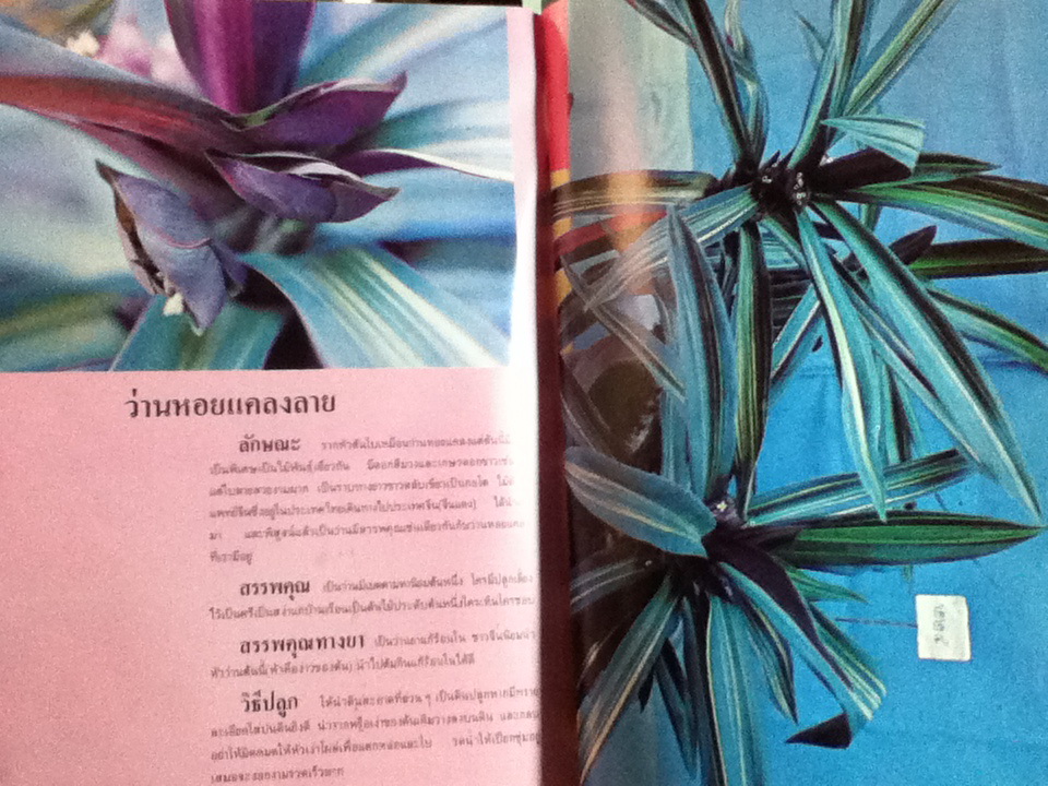 108ว่านมหัศจรรย์ เล่ม 2