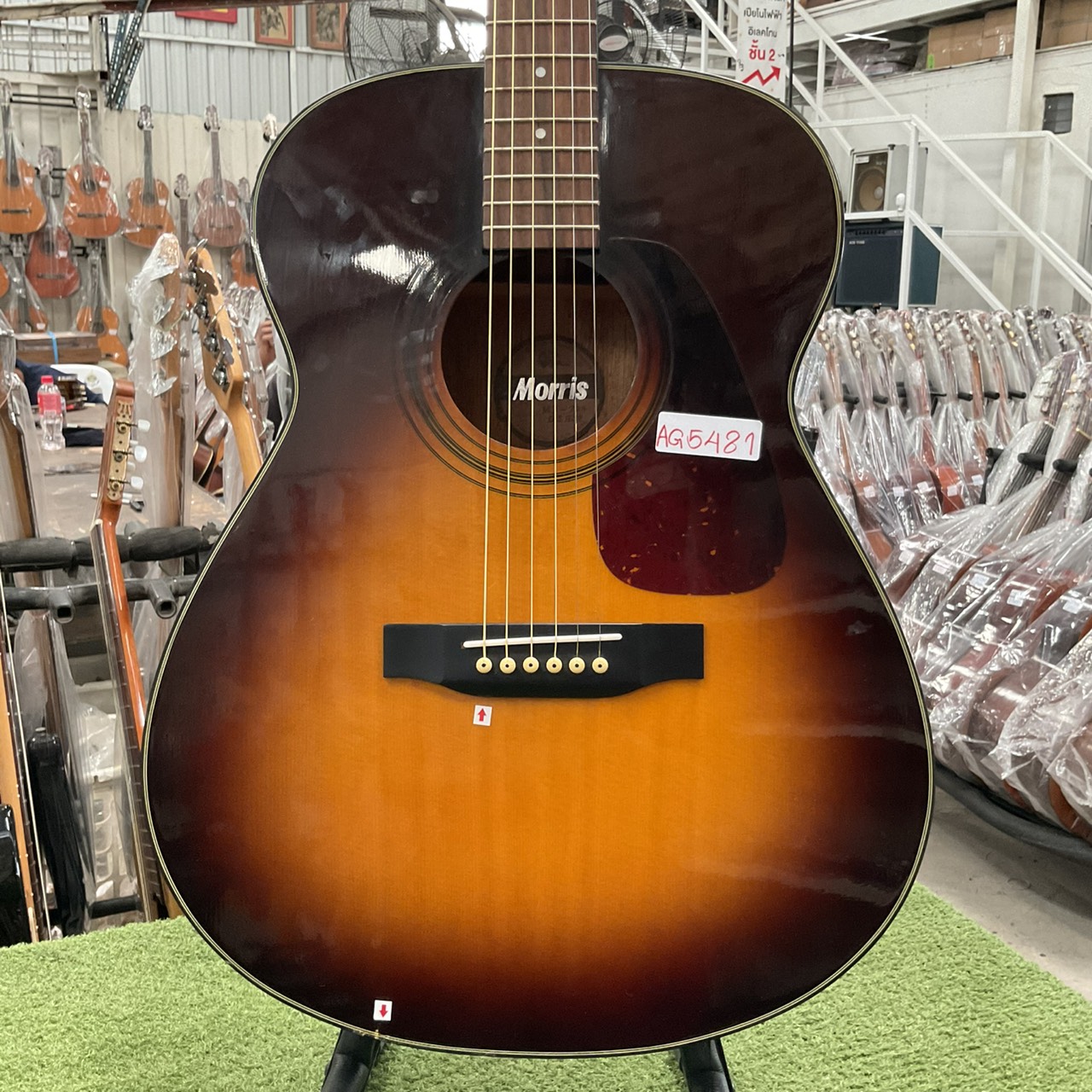 กีต้าร์โปร่ง Morris : MF-208