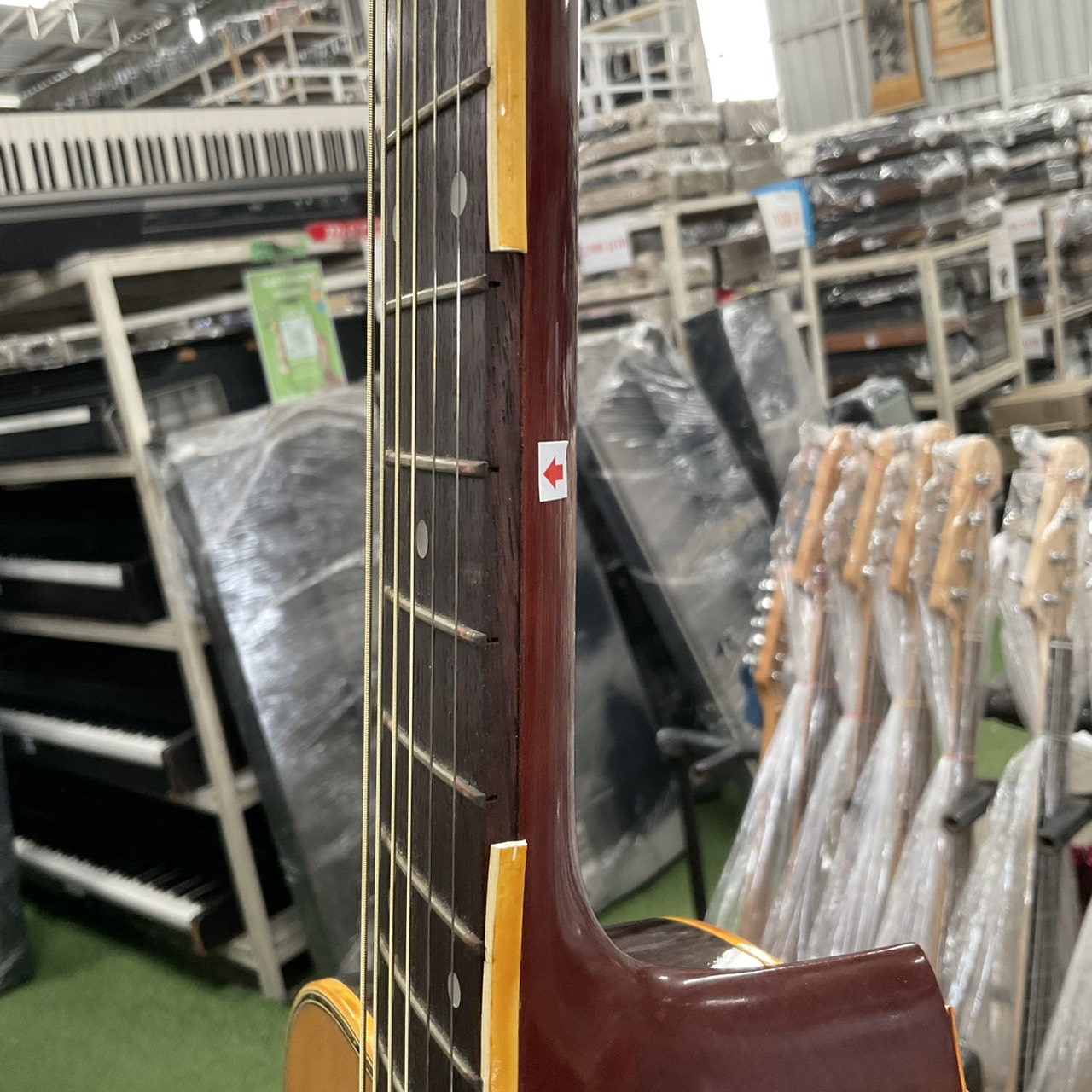 กีต้าร์โปร่ง Morris : W-23