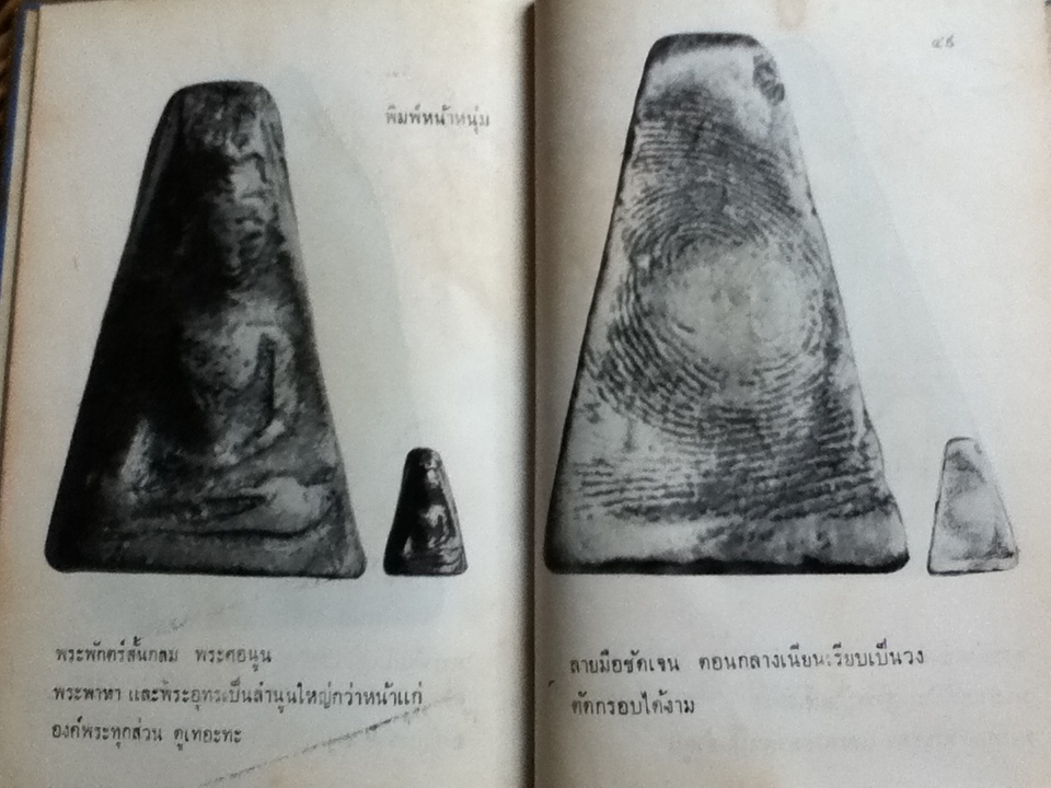 พระเครื่อง ผงสุพรรณ/ ป่าเลไลยก์