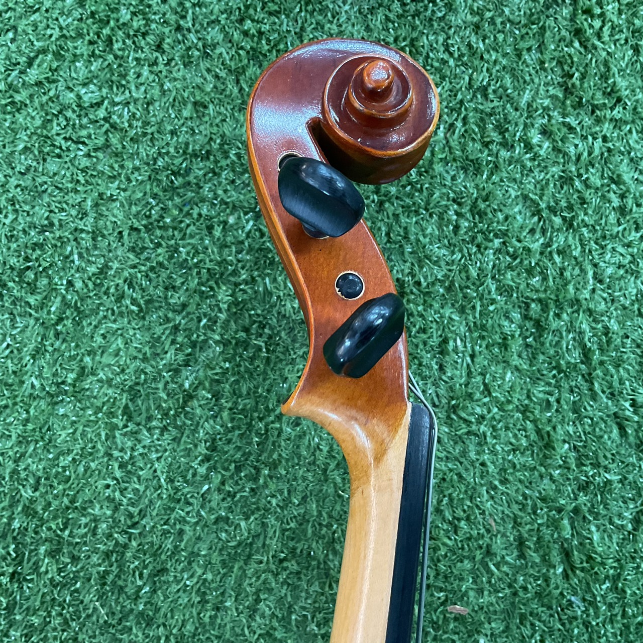 ไวโอลิน SUZUKI : No.240