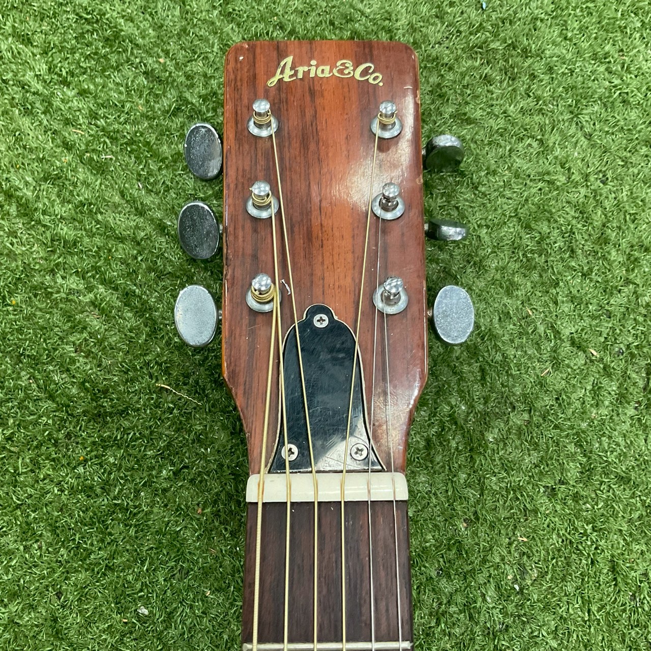 กีต้าร์โปร่ง Aria : F-130