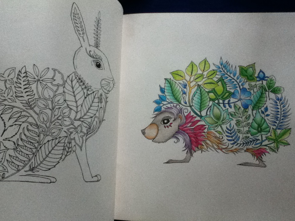 ป่าต้องมนตร์ Enchanted Forest